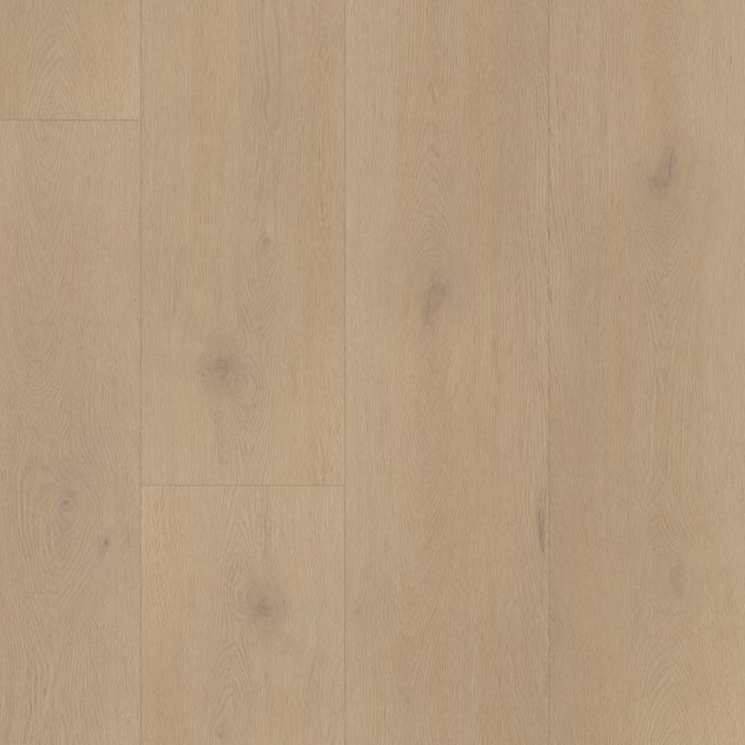 Belakos Palazzo 770 | Rigid Click