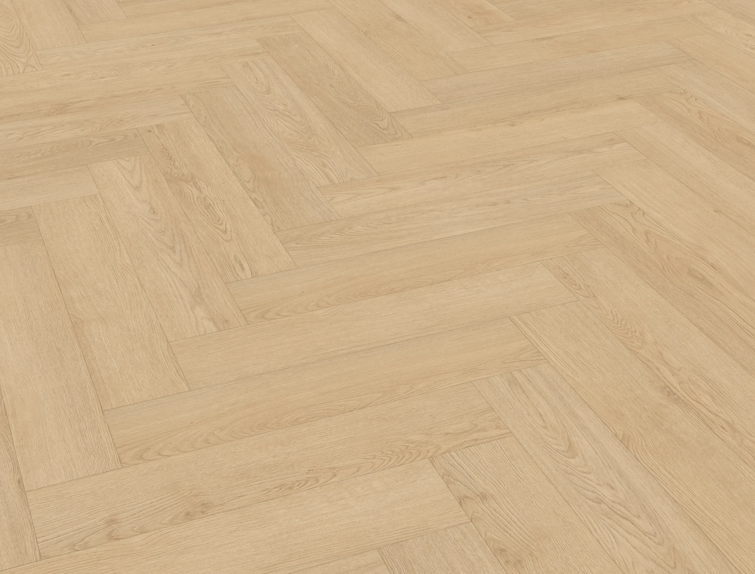 Afbeelding van Licht