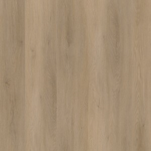 Ambiant Sentima Dryback Natural Oak