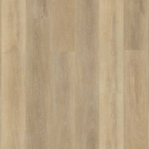 Belakos The Rigid 80