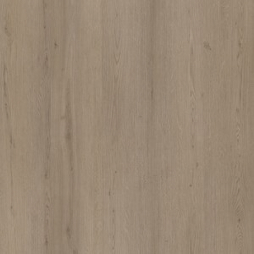 Ambiant Venera Dryback Smoky