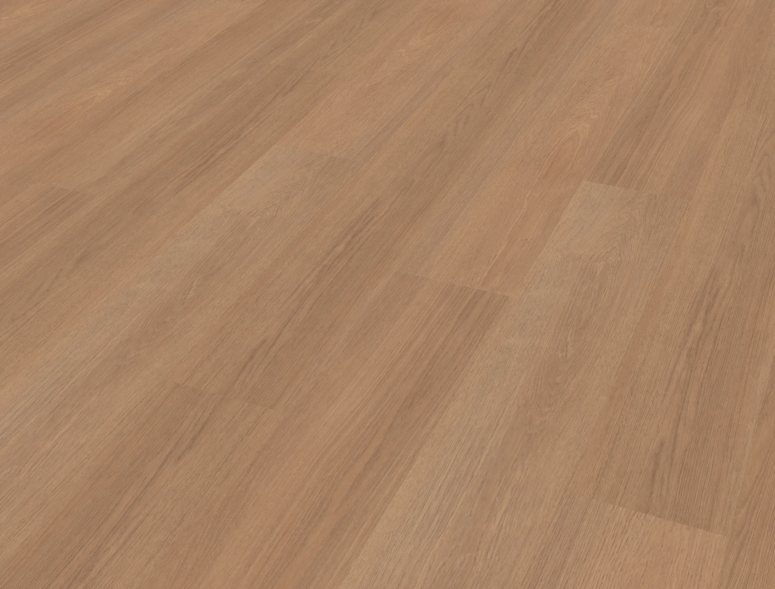 Afbeelding van Midden